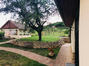 Hotels in Pécsvárad